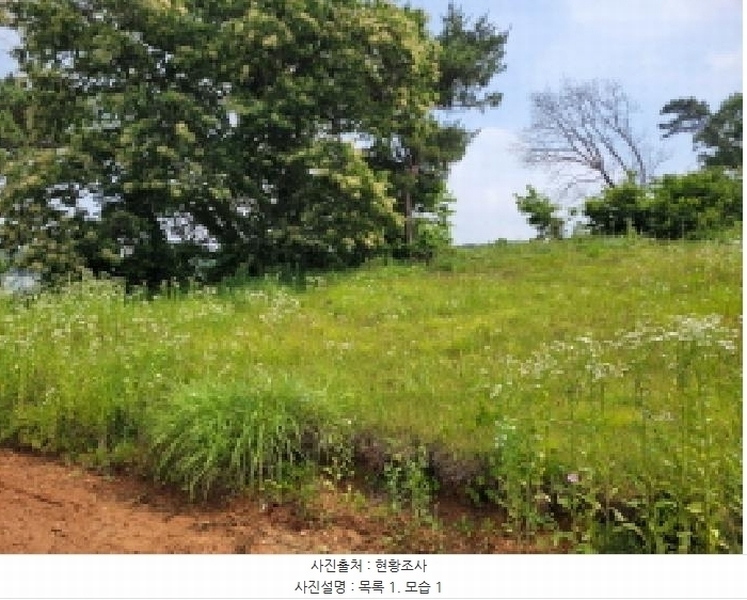 2025타경33483 경기도 김포시 하성면 마조리 산12-1 임야 경매 이미지
