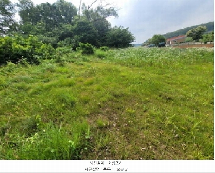 2025타경33483 경기도 김포시 하성면 마조리 산12-1 임야 경매 이미지