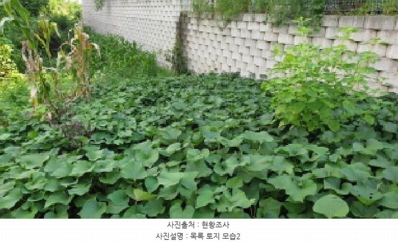 2025타경34262 경기도 김포시 통진읍 서암리 354 농지 경매 이미지