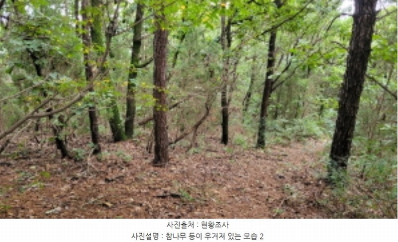 2024타경4860 경기도 김포시 월곶면 갈산리 산88-6 임야 경매 이미지