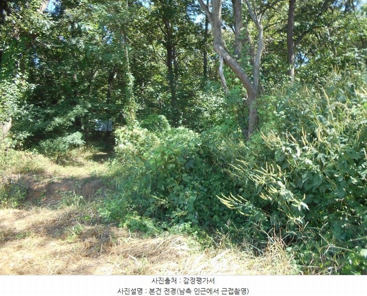 2024타경4860 경기도 김포시 월곶면 갈산리 산88-6 임야 경매 이미지