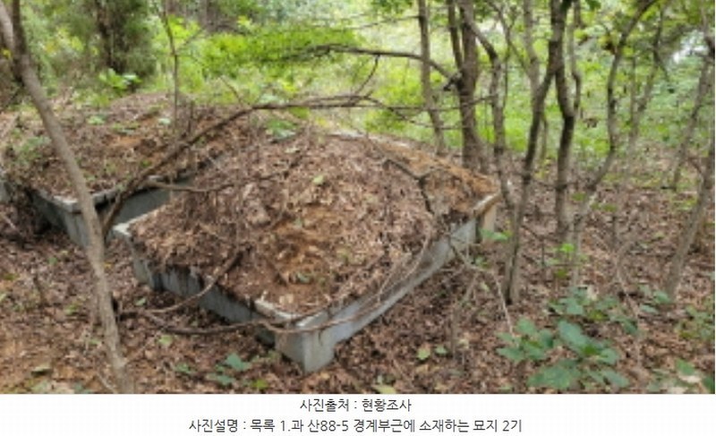 2024타경4860 경기도 김포시 월곶면 갈산리 산88-6 임야 경매 이미지