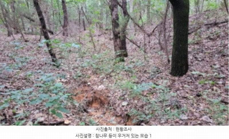 2024타경4860 경기도 김포시 월곶면 갈산리 산88-6 임야 경매 이미지