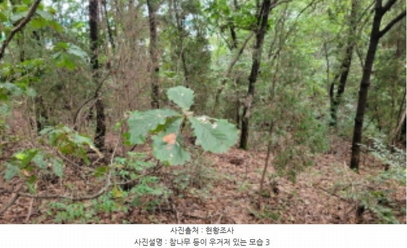 2024타경4860 경기도 김포시 월곶면 갈산리 산88-6 임야 경매 이미지