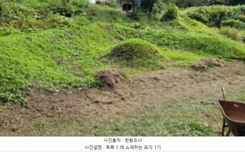 2024타경48594 경기도 김포시 양촌읍 양곡리 109-6 농지 경매 이미지