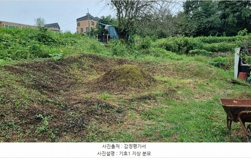 2024타경48594 경기도 김포시 양촌읍 양곡리 109-6 농지 경매 이미지