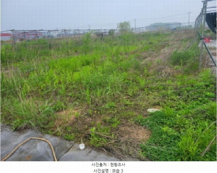 2025타경33407 경기도 김포시 통진읍 서암리 574 농지 경매 이미지