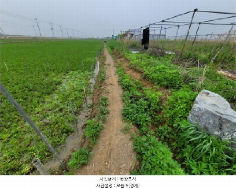 2025타경33407 경기도 김포시 통진읍 서암리 574 농지 경매 이미지