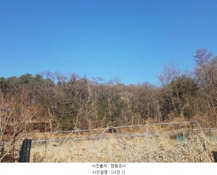 2025타경50434 강원특별자치도 춘천시 송암동 산15-8 임야 경매 이미지