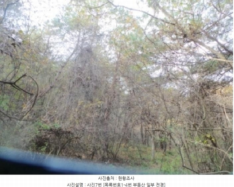 2025타경50939 강원특별자치도 양구군 국토정중앙면 가오작리 251 농지 경매 이미지