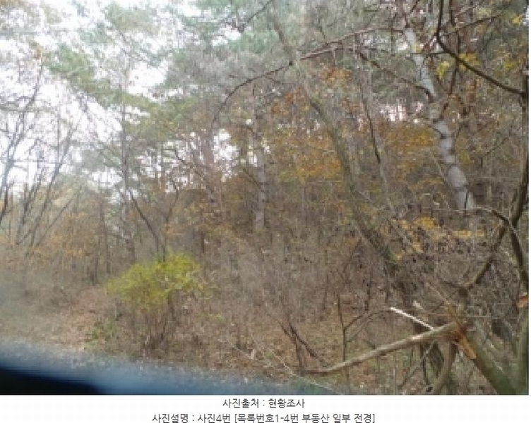 2025타경50939 강원특별자치도 양구군 국토정중앙면 가오작리 251 농지 경매 이미지