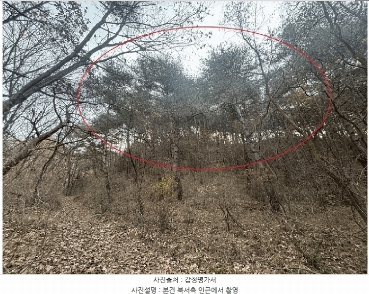 2025타경50939 강원특별자치도 양구군 국토정중앙면 가오작리 251 농지 경매 이미지