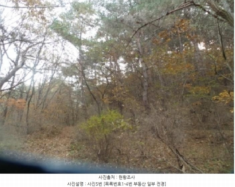 2025타경50939 강원특별자치도 양구군 국토정중앙면 가오작리 251 농지 경매 이미지