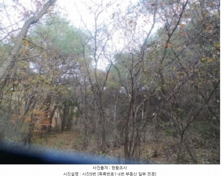 2025타경50939 강원특별자치도 양구군 국토정중앙면 가오작리 251 농지 경매 이미지