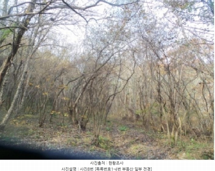 2025타경50939 강원특별자치도 양구군 국토정중앙면 가오작리 251 농지 경매 이미지