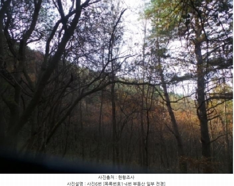 2025타경50939 강원특별자치도 양구군 국토정중앙면 가오작리 251 농지 경매 이미지