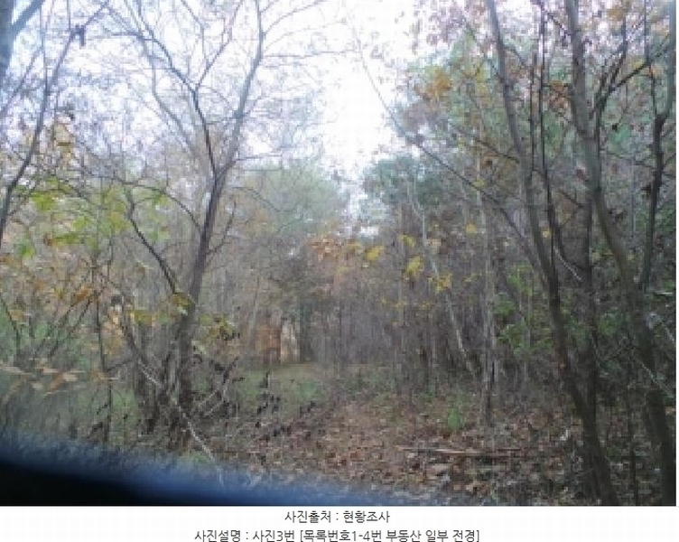 2025타경50939 강원특별자치도 양구군 국토정중앙면 가오작리 251 농지 경매 이미지