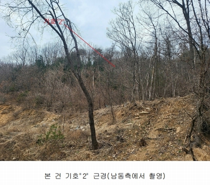 2024타경3089 경기도 양평군 양서면 신원리 산95 임야 경매 이미지