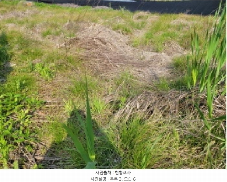 2025타경33366 경기도 김포시 고촌읍 신곡리 367-3 농지 경매 이미지