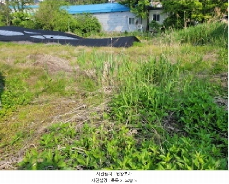 2025타경33366 경기도 김포시 고촌읍 신곡리 367-3 농지 경매 이미지
