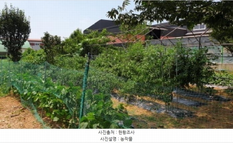 2025타경33893 경기도 김포시 대곶면 대능리 668-1 농지 경매 이미지