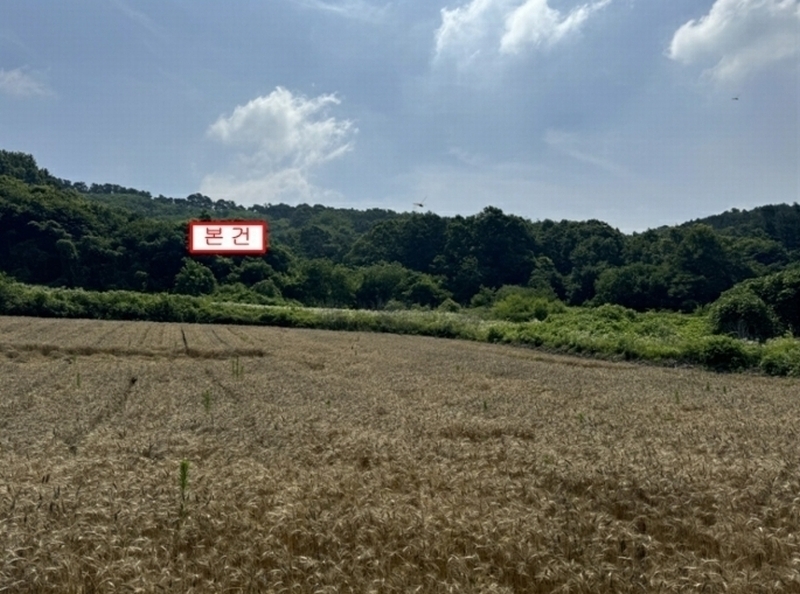 2024타경36188 경기도 여주시 대신면 도롱리 산5-1 임야 경매 이미지