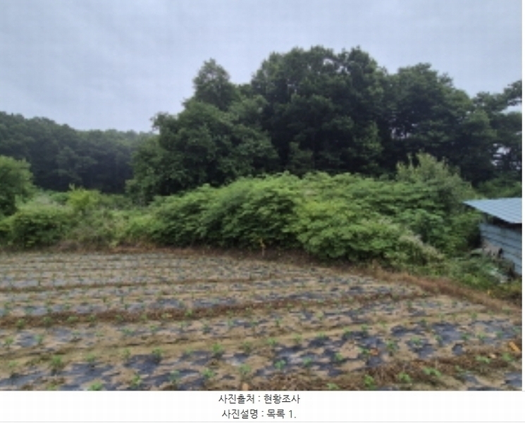 2024타경36188 경기도 여주시 대신면 도롱리 산5-1 임야 경매 이미지