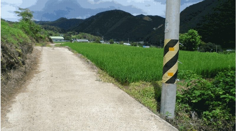 2025타경452 경상북도 경주시 양남면 석촌리 158-2 농지 경매 이미지