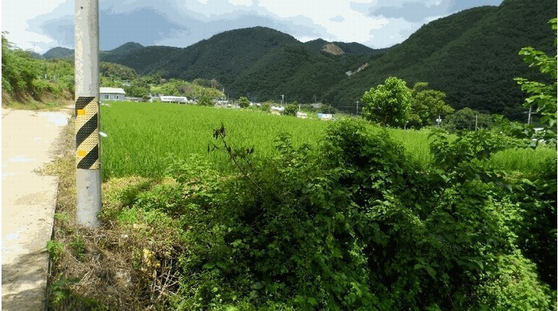 2025타경452 경상북도 경주시 양남면 석촌리 158-2 농지 경매 이미지