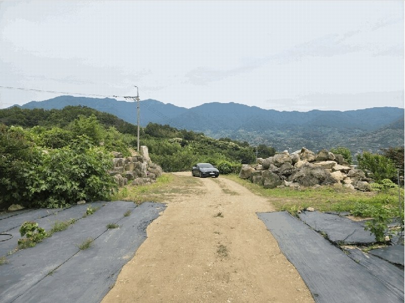 2025타경704 경상남도 하동군 악양면 입석리 570 임야 경매 이미지