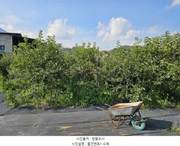 2025타경704 경상남도 하동군 악양면 입석리 570 임야 경매 이미지