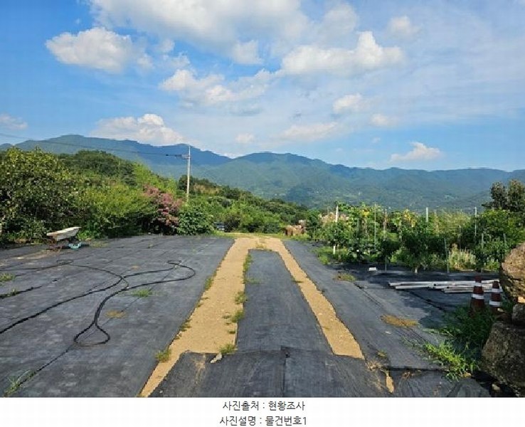 2025타경704 경상남도 하동군 악양면 입석리 570 임야 경매 이미지