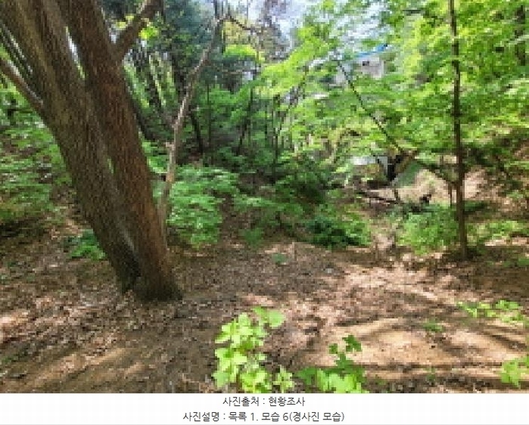 2025타경33177 경기도 김포시 풍무동 92-55 잡종지 경매 이미지