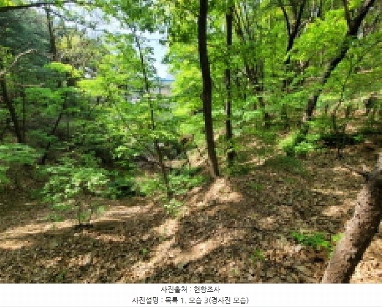 2025타경33177 경기도 김포시 풍무동 92-55 잡종지 경매 이미지