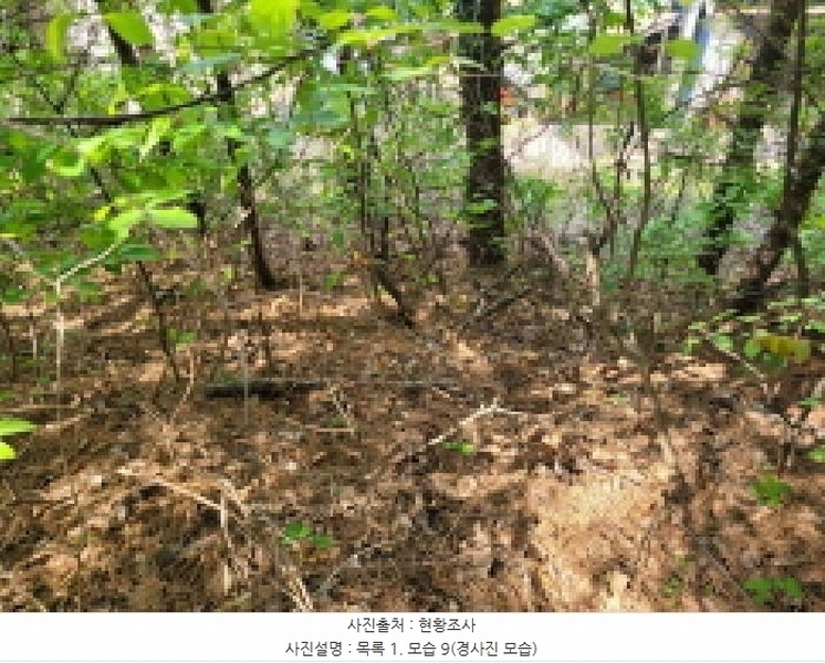 2025타경33177 경기도 김포시 풍무동 92-55 잡종지 경매 이미지