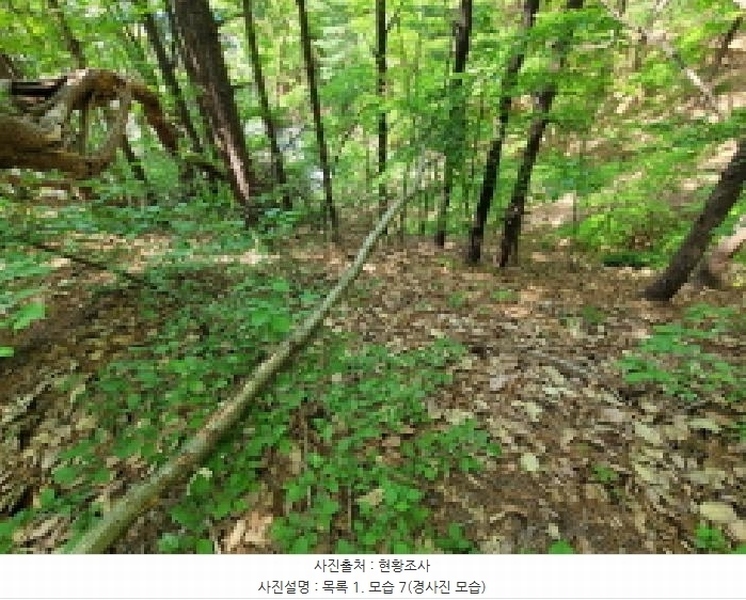 2025타경33177 경기도 김포시 풍무동 92-55 잡종지 경매 이미지