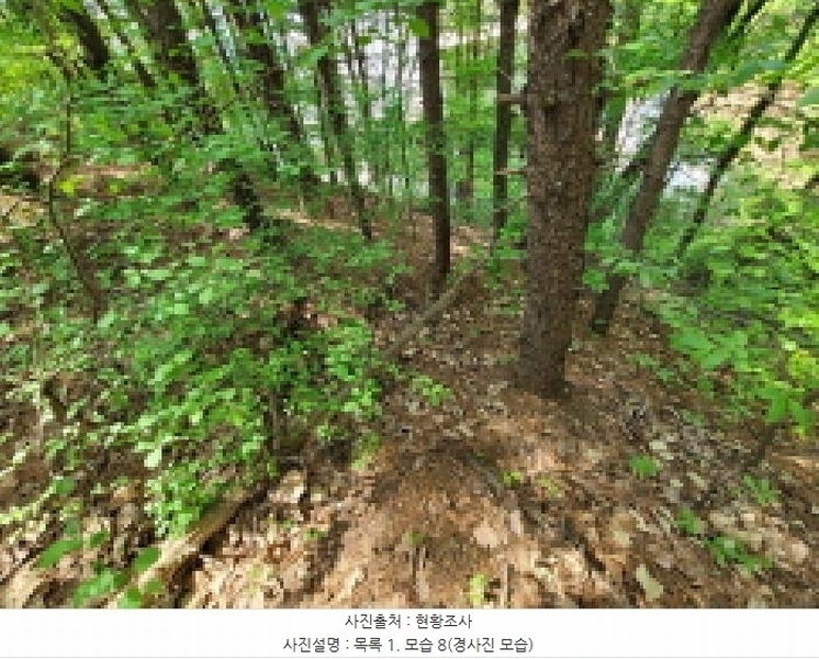 2025타경33177 경기도 김포시 풍무동 92-55 잡종지 경매 이미지