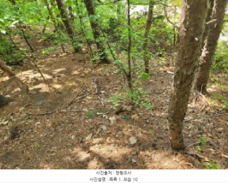 2025타경33177 경기도 김포시 풍무동 92-55 잡종지 경매 이미지