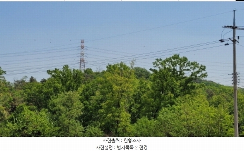2024타경4468 경기도 화성시 팔탄면 월문리 산17 임야 경매 이미지