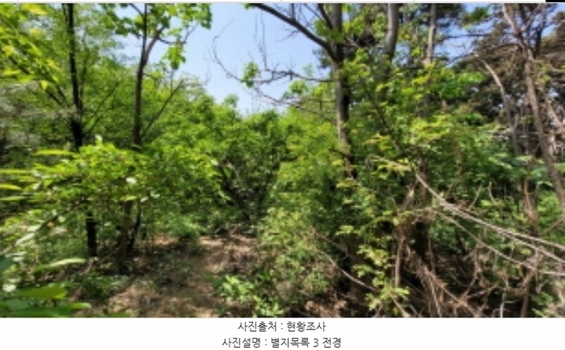 2024타경4468 경기도 화성시 팔탄면 월문리 산17 임야 경매 이미지