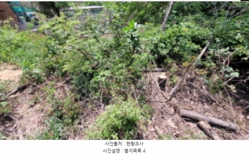 2024타경4468 경기도 화성시 팔탄면 월문리 산17 임야 경매 이미지