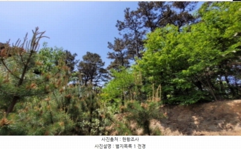 2024타경4468 경기도 화성시 팔탄면 월문리 산17 임야 경매 이미지