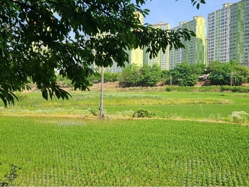 2024타경74337 경기도 화성시 향남읍 하길리 419-13 농지 경매 이미지
