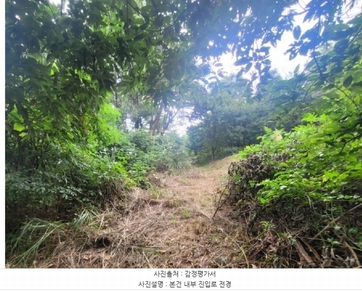 2024타경87234 경기도 화성시 서신면 궁평리 산54 임야 경매 이미지