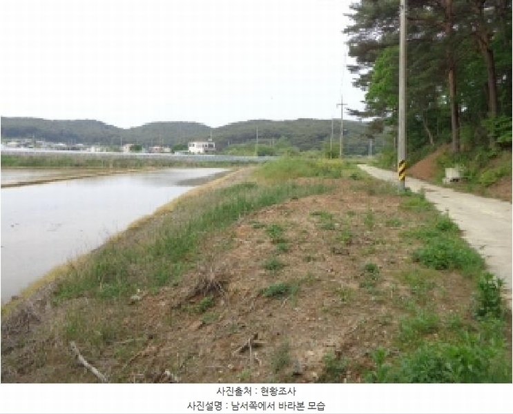 2025타경51223 충청남도 태안군 안면읍 정당리 1132-12 농지 경매 이미지