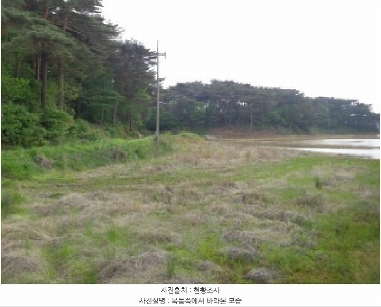 2025타경51223 충청남도 태안군 안면읍 정당리 1132-12 농지 경매 이미지