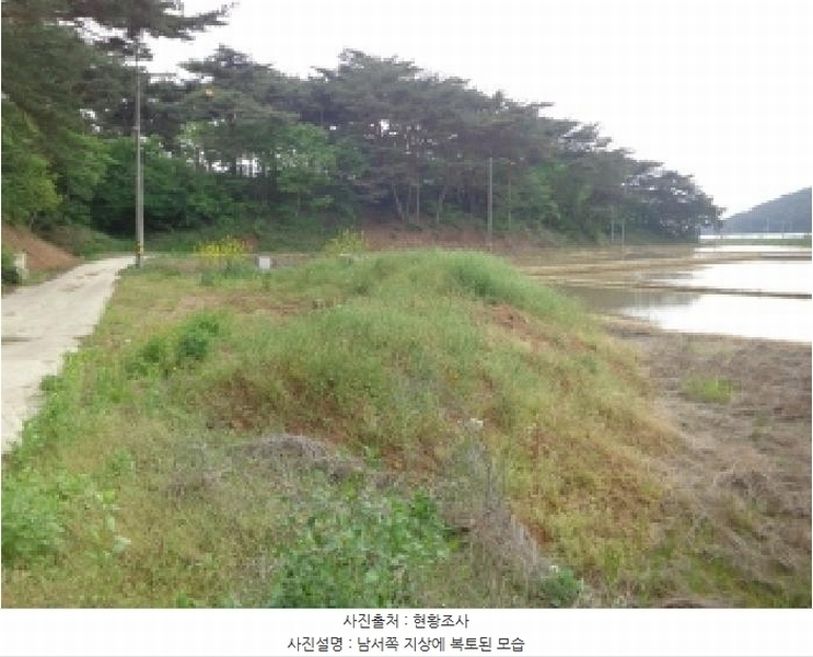 2025타경51223 충청남도 태안군 안면읍 정당리 1132-12 농지 경매 이미지