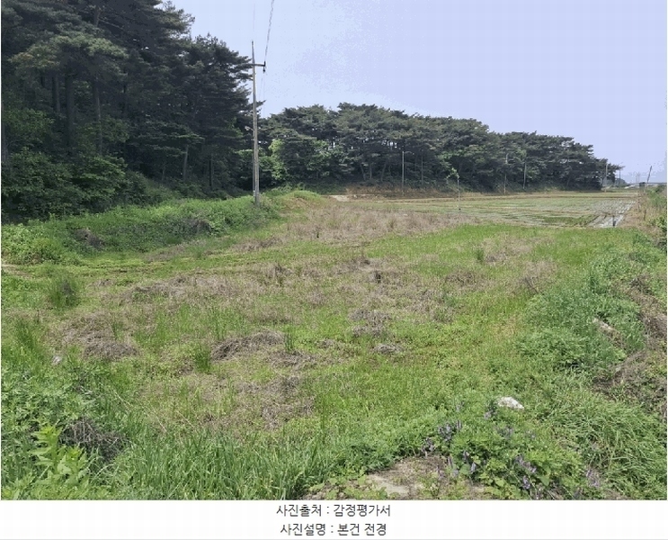 2025타경51223 충청남도 태안군 안면읍 정당리 1132-12 농지 경매 이미지