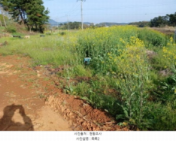 2025타경51227 충청남도 서산시 고북면 봉생리 570-11 창고 경매 이미지