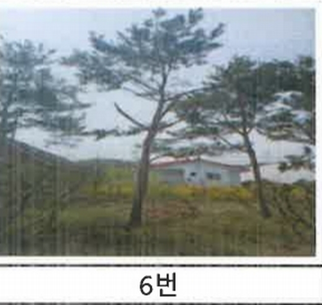 2023타경52576 경기도 용인시 처인구 원삼면 독성리 625 근린주택 경매 이미지